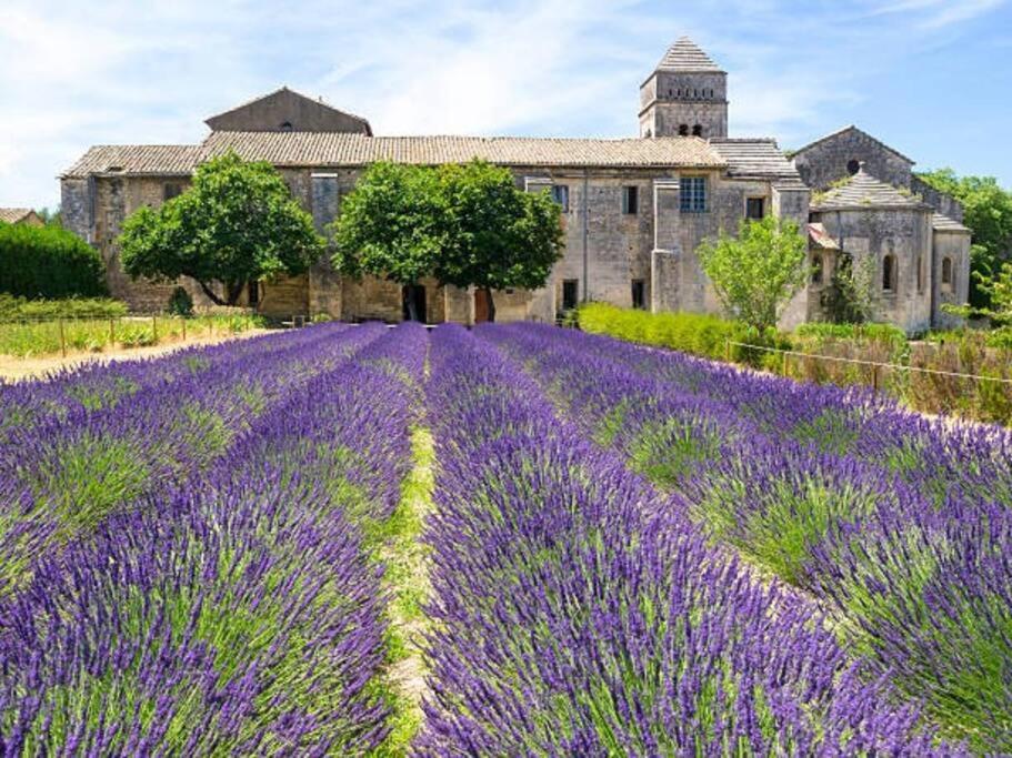 Camille - Charmant T2 Moderne Et Calme Châteaurenard エクステリア 写真